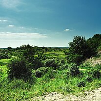 Dünenlandschaft Kobbeduinen