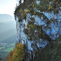 Die Ruine Falkenstein