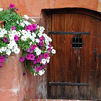 Nebentür mit Betunien