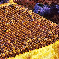 Dach eines Hirtenhauses