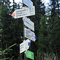 Wegweiser am Lusenbach zum Purstling