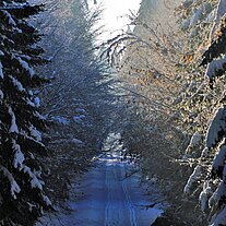 verschneiter Weg am Abspann