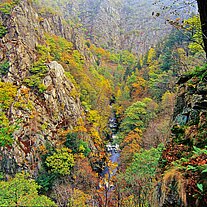 Herbst  im Bodetal