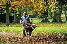 alter Mann mit Holz im Schubkarrn