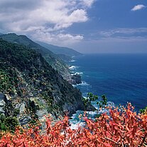 Blick nach Vernazza 5 Terre