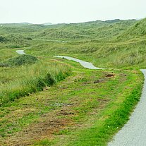 Weg durch die Dünen