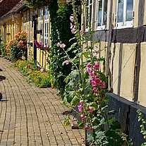 Provstegade Häuserfronten