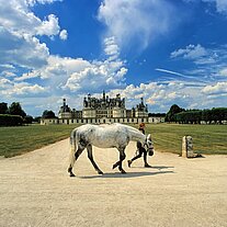 Mädchen führt ein Pferd vor dem Schloss