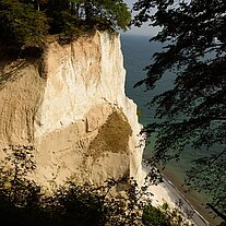 Die Kippen von Møn (Møns Klint)