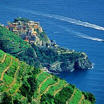 Manarola