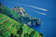 Manarola