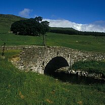 Brücke vor dem Devils Elbow