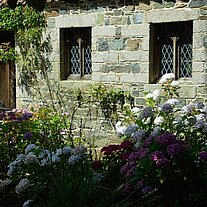 Mauern der Seigneurie und Hortensien