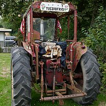alter Bulldog im Garten