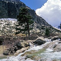 Wildwasser Restonica