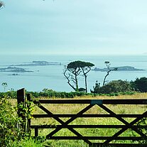 Weide mit Bäumen und Meer