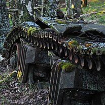Panzerreste von der Natur zurückerobert