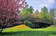 japanische Holzbrücke