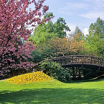 japanische Holzbrücke