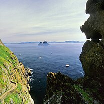 Möwe und Weg zum Kloster