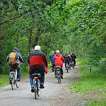 mit dem Rad durch Eichenwälder Terschellings