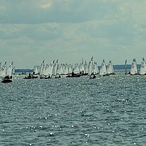 Segelregatta in der Flensburger Förde