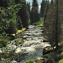 Rachelbach bei der Ahornsäge