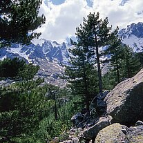 Haut Asco Blick zum Monte Cinto