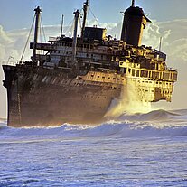 American Star Großaufnahme